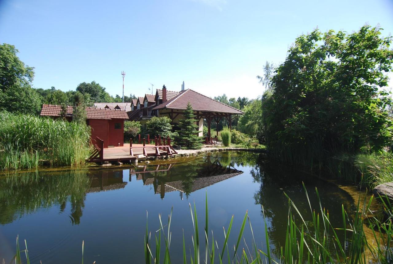 Ivanek Guest House Zvikovske Podhradi Exterior foto