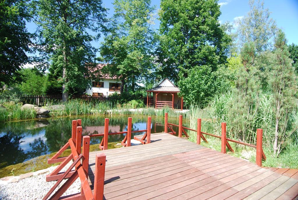 Ivanek Guest House Zvikovske Podhradi Exterior foto